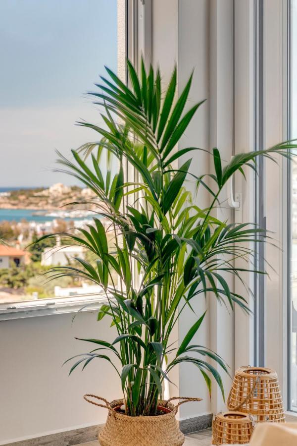 Villa Mare Syros Finikas  Ngoại thất bức ảnh